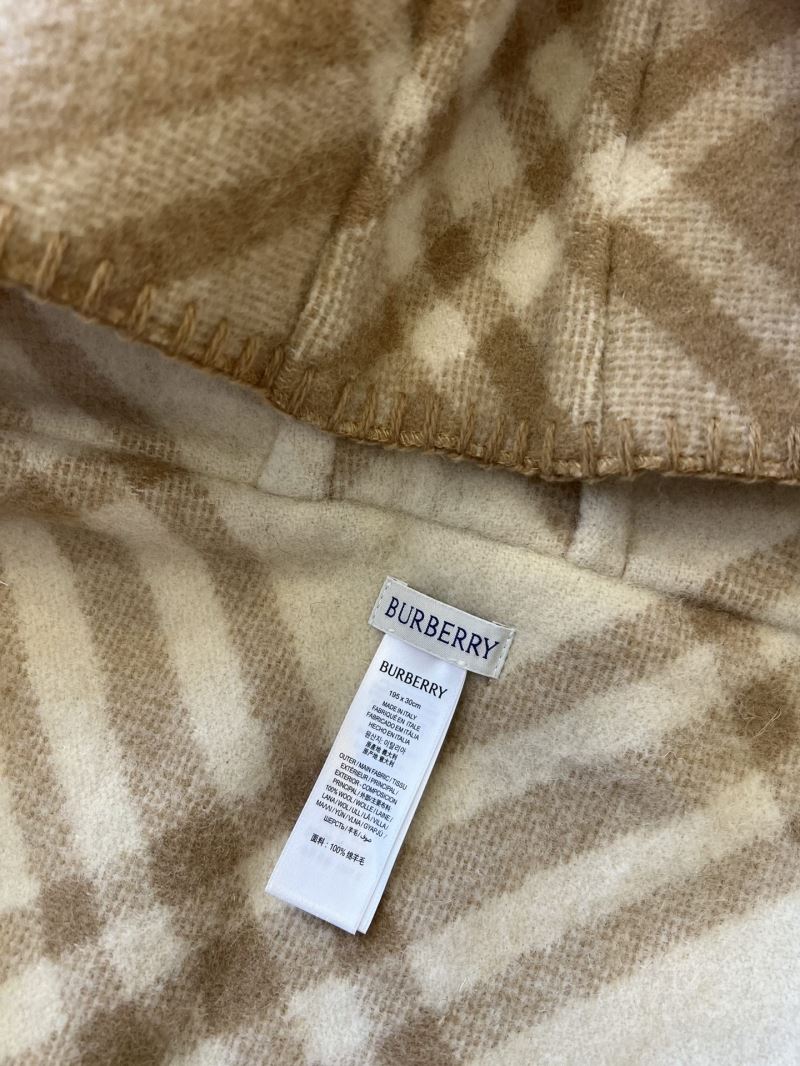 Burberry Caps Scarfs